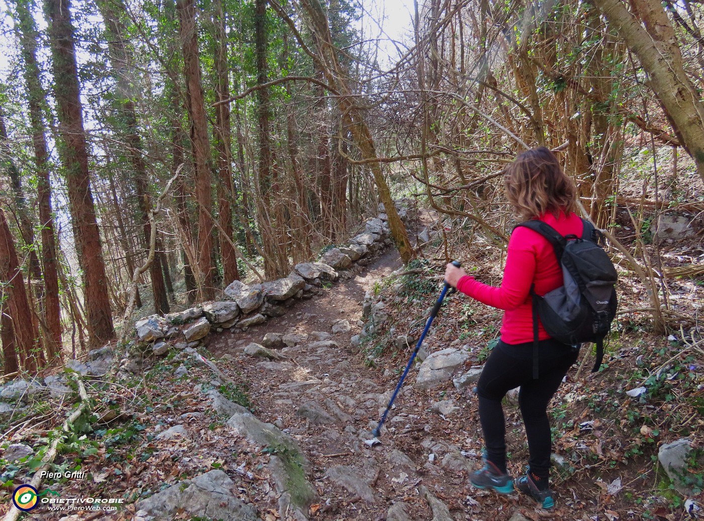 77 Chiudiamo l'anello sul sent. 505  tra varianti bassa in salita-alta in discesa.JPG